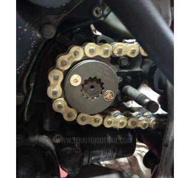 Piñón KKBIKE 250130 de 15 dientes