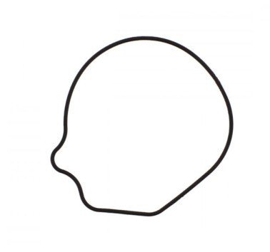 Junta bomba de agua interior Honda 600 / 650 / 700 / 750