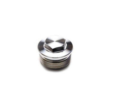 Tapón para barra de horquilla Yamaha XT 600