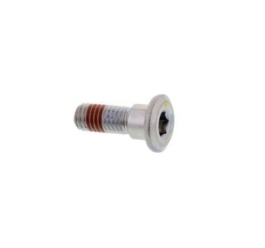 Tornillo M8 x 1.25 x 24 mm para disco de freno