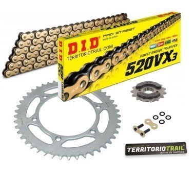 Kit de transmisión DID 520 VX3 dorada (15/46/110) | Relación original Dominator NX 650 1995-2002