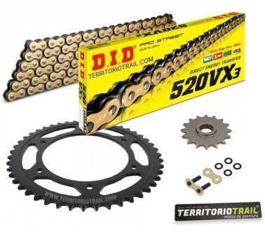 Kit de arrastre DID 520 VX3 cadena dorada (15/47/112) | relación original BMW Xchallenge 650