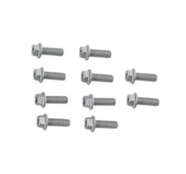 Kit de 10 unidades tornillos Bolt m6 x 1,00 x 25mm