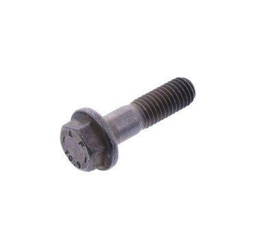 Tornillo sujección del piñón BMW G 310 GS