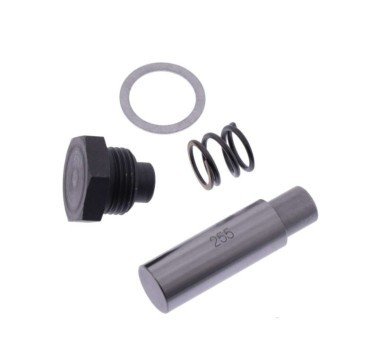 Tensor cadena de distribución BMW F 650 Twin / 700 / 800 GS