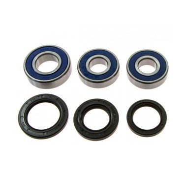 Kit 25-1557 rodamientos con retenes para rueda trasera