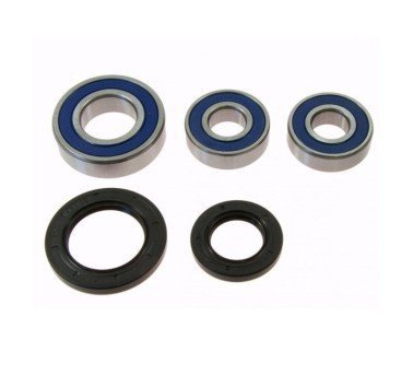 Kit 25-1449 rodamientos con retenes para rueda trasera