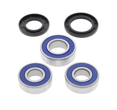 Kit 25-1256 rodamientos para rueda trasera