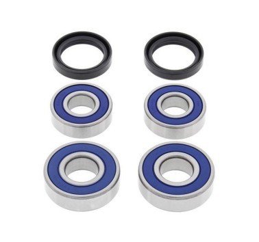 Kit 25-1646 rodamientos para rueda trasera