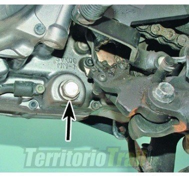 Junta de sellado M14 para tornillo vaciado de aceite