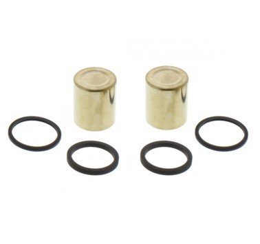 Kit reparación pistones de freno delantero Yamaha XT 750 Z