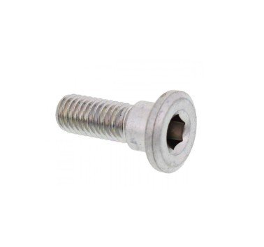 Tornillo fijación disco de freno delantero M8x22