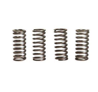 Muelles de embrague EBC CSK016 10% reforzados