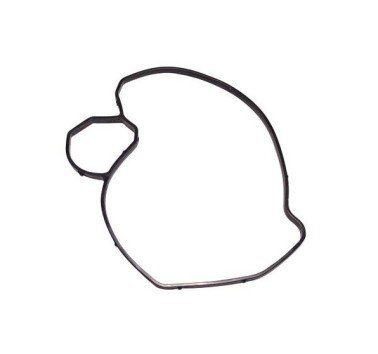 Junta tapa bomba de agua BMW F 800 GS