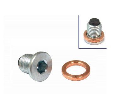 Tornillo imantado gris vaciado aceite M14x1.50 + junta