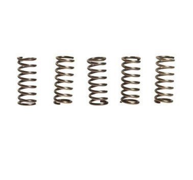 Muelles de embrague (5 unidades) EBC CSK042 10% reforzados