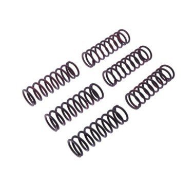 TRW MEF313-6 muelles de embrague 10% reforzados