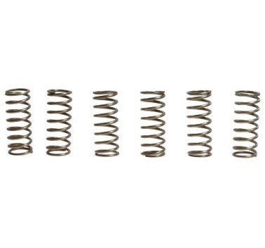 Muelles de embrague EBC CSK079 (6 unds) 10% reforzados