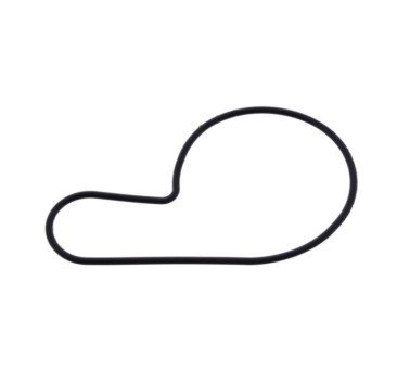 Junta tapa bomba de agua Suzuki DR Z 400 S / E