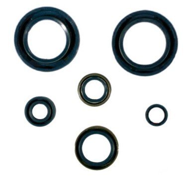 Juego retenes de motor KTM 640 LC4 / 625 SXC