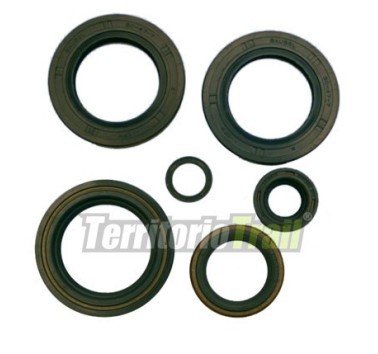 Athena juego retenes de motor KTM 640 LC4 E