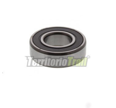 Rodamiento 6003 2RS SKF rueda delantera (izquierdo)