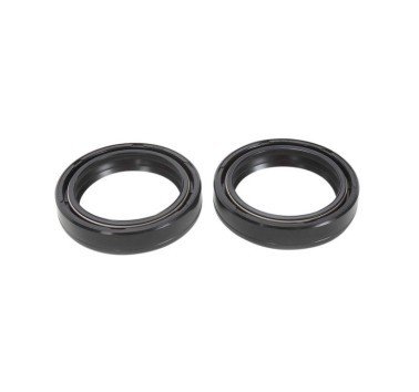 Kit 55-119 retenes de horquilla