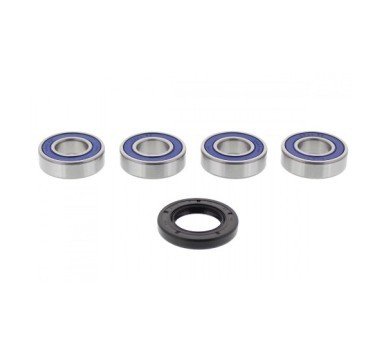 Kit rodamientos rueda trasera All Balls 25-1267