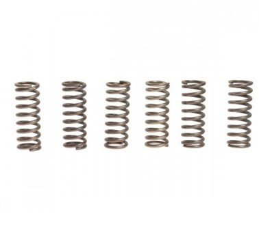 Muelles de embrague (6 unidades) EBC CSK045