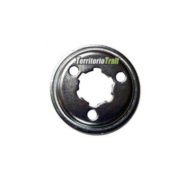 Chapa de seguridad del piñón