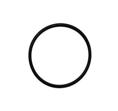 Junta tórica tapa bomba de agua BMW F 650