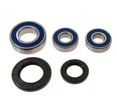 Kit 25-1393 rodamientos y juntas para rueda trasera