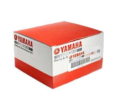 Juego de radios para llanta delantera Yamaha Tenere 700