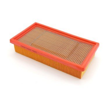 Filtro de aire Triumph Scrambler 1200 XC / XE