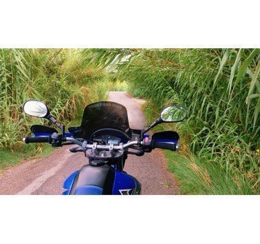 Puños de espuma Progrip abiertos density rally