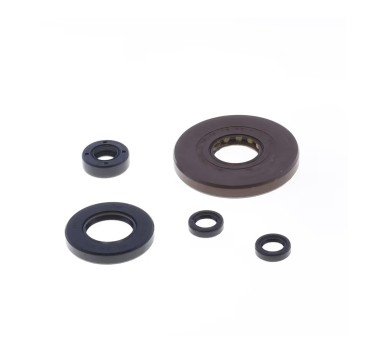 Kit de retenes de motor Honda Transalp 700