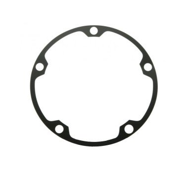 Placa montaje disco de freno trasero Yamaha Tenere 700