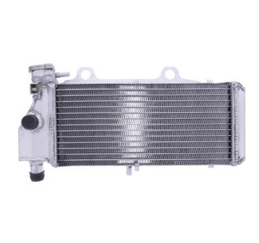 Radiador de agua BMW F 650 ST / F 650 GS / G 650 S