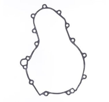 Junta carcasa de motor (tapa estator) BMW F 800 GS (08-12)