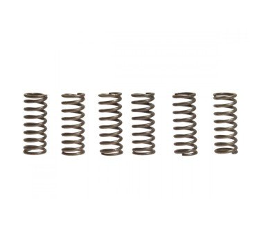 Kit reparación embrague EBC: junta, muelles, discos