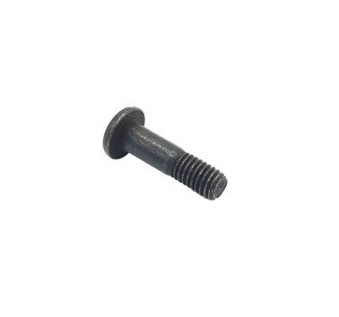 Tornillo pasante maneta de embrague BMW F 650 / ST