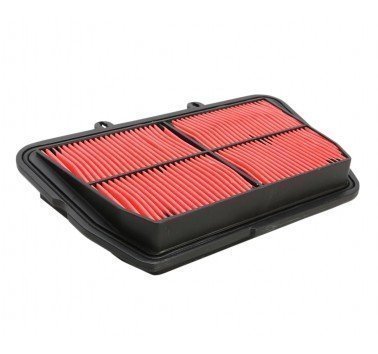 Filtro de aire Hiflofiltro HFA6501 Triumph Tiger 800