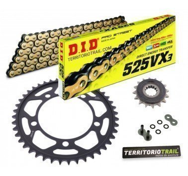 Kit de transmisión DID 525 VX3 dorada (17/44/122) | relación original BMW F 750 / 850 GS
