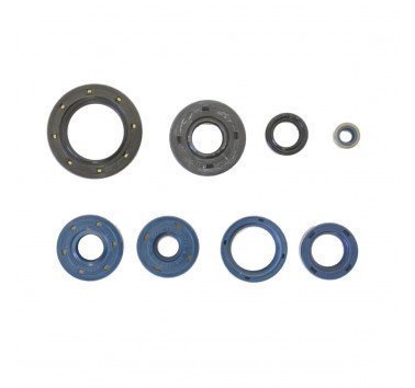 Juego retenes de motor Aprilia Pegaso 650 ie