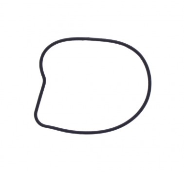 Junta tapa bomba de agua Yamaha Tenere 700