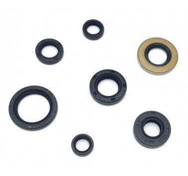 Juego retenes de motor Honda XR 400 R