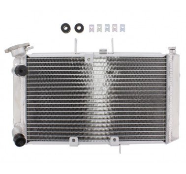 Radiador de agua Triumph Tiger 800 / XC (11-13)