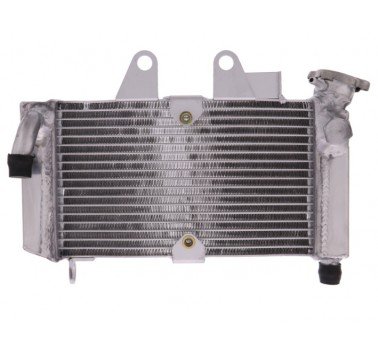 Radiador de agua Honda Varadero 125 (01-06)