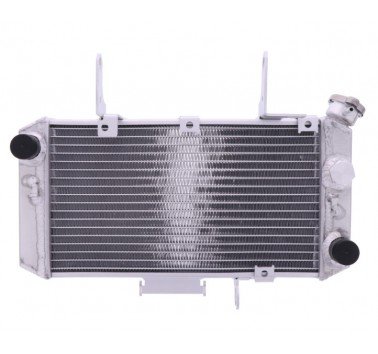 Radiador de agua Suzuki V-Strom 650 (04-11)